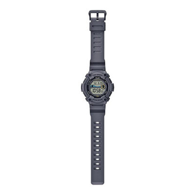 ساعت مچی کاسیو مدل CASIO WS-1300H-8A